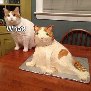 Meet your Posher, Constance